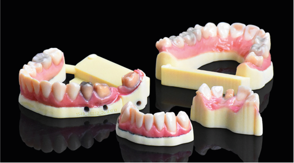 Модели на 3D принтере Stratasys J720 Dental